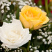 Vishal Patel Photo 21