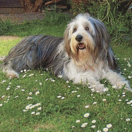 Rita Holmes Photo 13