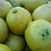 Martin Limon Photo 17