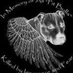 Sandra Lingle Photo 3