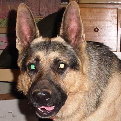 John Bowser Photo 40