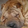Debra Bowman Photo 15