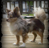 Ellen Norman Photo 19