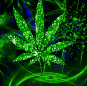 Walter Shaw Photo 15 Walter Shaw Photo 15