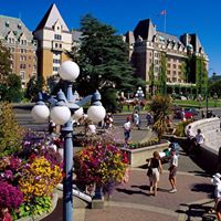 Nancy Mccabe Photo 17