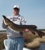 Todd Erickson Photo 27
