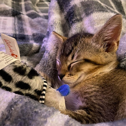 Emily Terry Photo 16