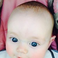 Christine Bayless Photo 8