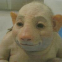 Cheryl Dodd Photo 10