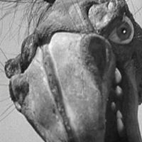 Julian Beltran Photo 35