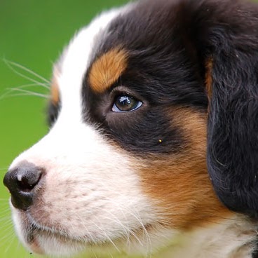 Julia Meier Photo 10