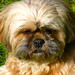 Bonnie Loving Photo 7