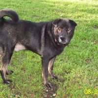 Donna Hooper Photo 24