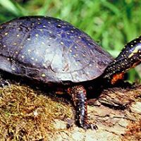 Katherine Ritchie Photo 10