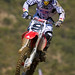 Justin Tedesco Photo 20
