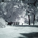 Daniel Holcomb Photo 16