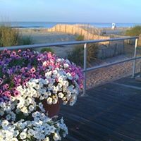 Julie Mulhern Photo 20