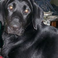 Angela Rawlins Photo 10