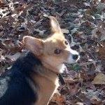 Jayne Mcdaniel Photo 4