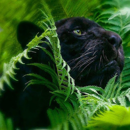 Pam Perkins Photo 17