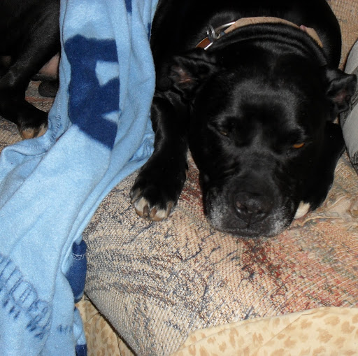 Tonya Vaughn Photo 28