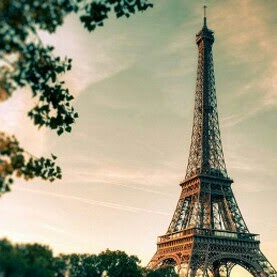 Victoria Dyer Photo 15