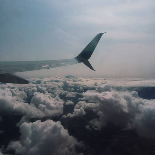 Austin Rice Photo 39