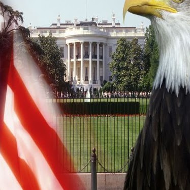 Walter Brown Photo 22