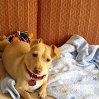 Gail Reilly Photo 31