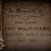 Ann Wilkinson Photo 25
