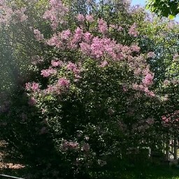 Kathy Barnett Photo 15