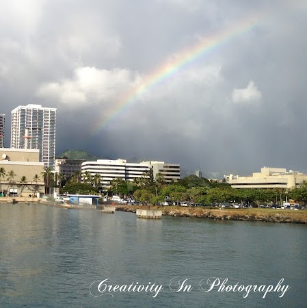 Denise Sheppard Photo 15