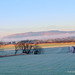 Brian Abernethy Photo 22