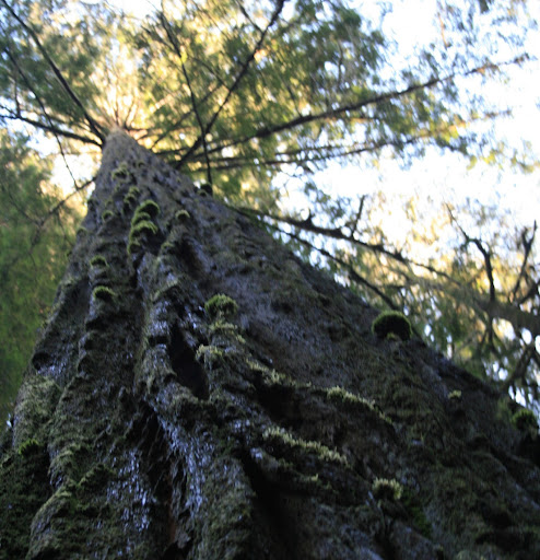 Danielle George Photo 20