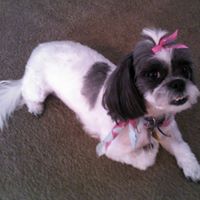 Mary Gibbins Photo 19