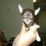 Debbie Shultz Photo 14