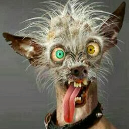 Judith Wolf Photo 21