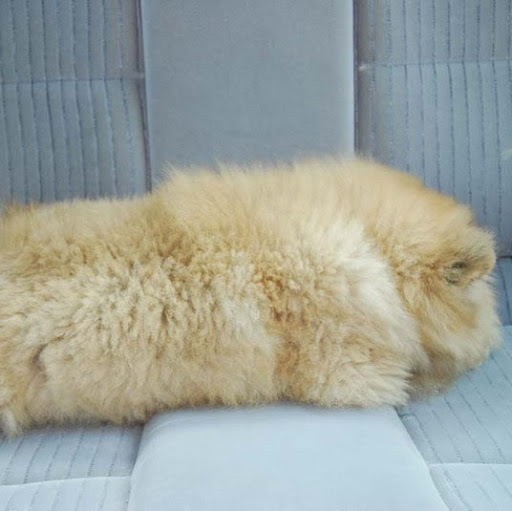 Kathy Chang Photo 45