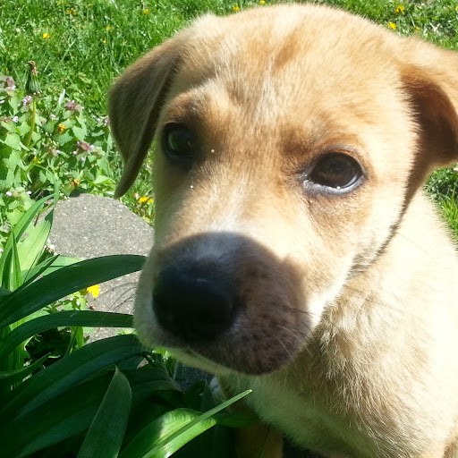 Rachel Pittman Photo 21