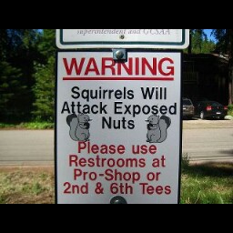 Rob Patton Photo 18 Rob Patton Photo 18