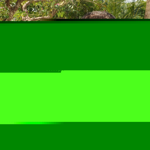 Nancy Patrick Photo 7