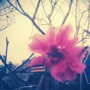 Ting Yu Photo 36