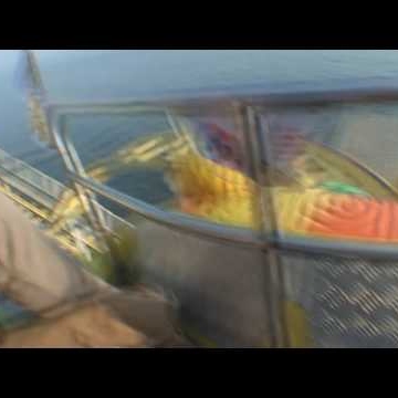 Richard Huston Photo 28