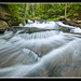 Joseph Leigh Photo 9