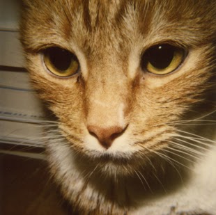 Mike Slack Photo 8