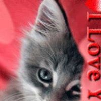 Kathy Kerns Photo 16