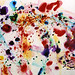 Sam Francis Photo 27