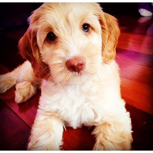 Jody Mitchell Photo 20