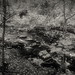 John Netherton Photo 30