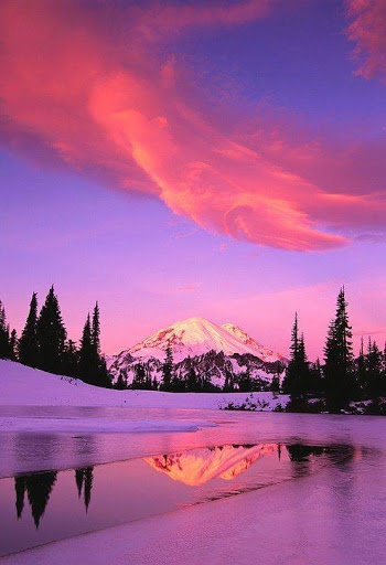Deborah Terrill Photo 6